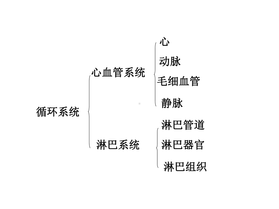 系统解剖学-循环系统总论-心脏课件.ppt_第2页