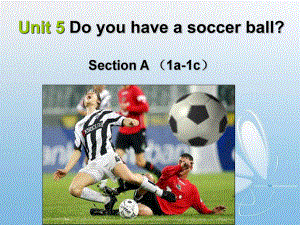 人教版七年级英语上册Unit-5-do-you-have-a-soccer-ball教学课件.ppt（纯ppt,不包含音视频素材）