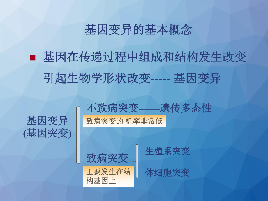 医学分子生物学-基因变异与疾病课件.ppt_第2页