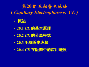 毛细管电泳优秀课件.ppt