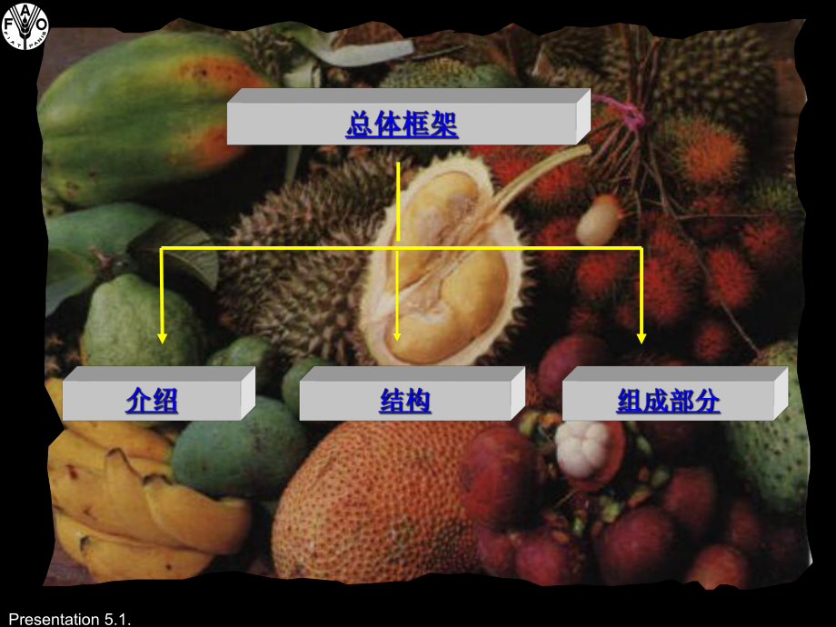 超级场专业进口商等保护自己的品牌-FAO课件.ppt_第3页