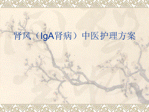 肾风(IgA肾病)中医护理方案.ppt