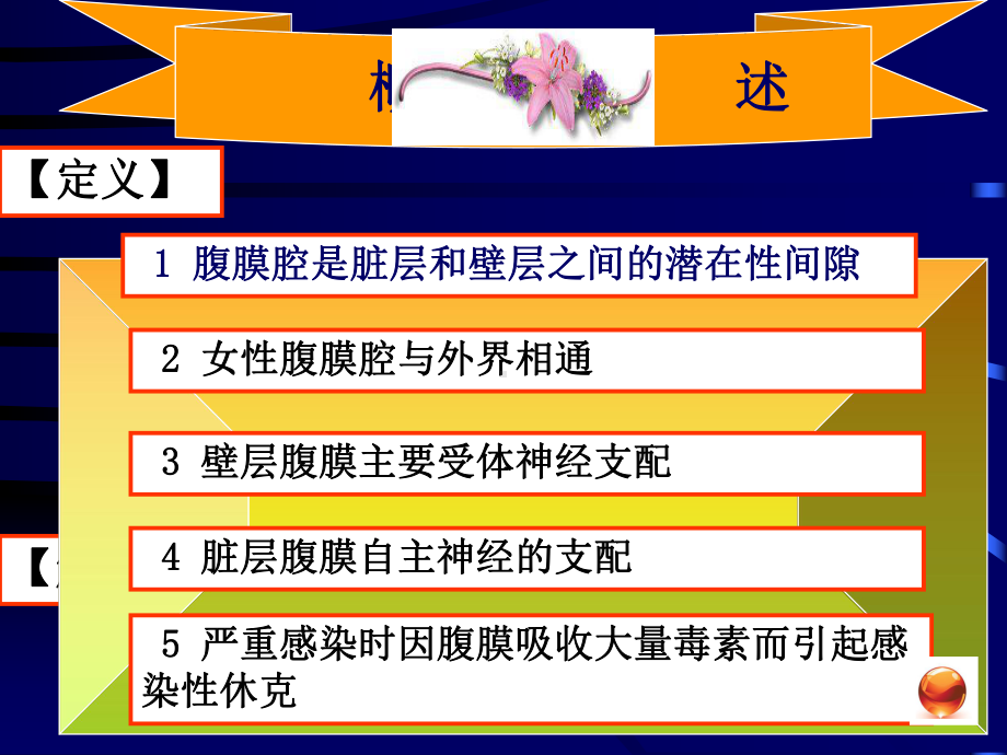 外科学-十九-急性腹膜炎课件.ppt_第2页