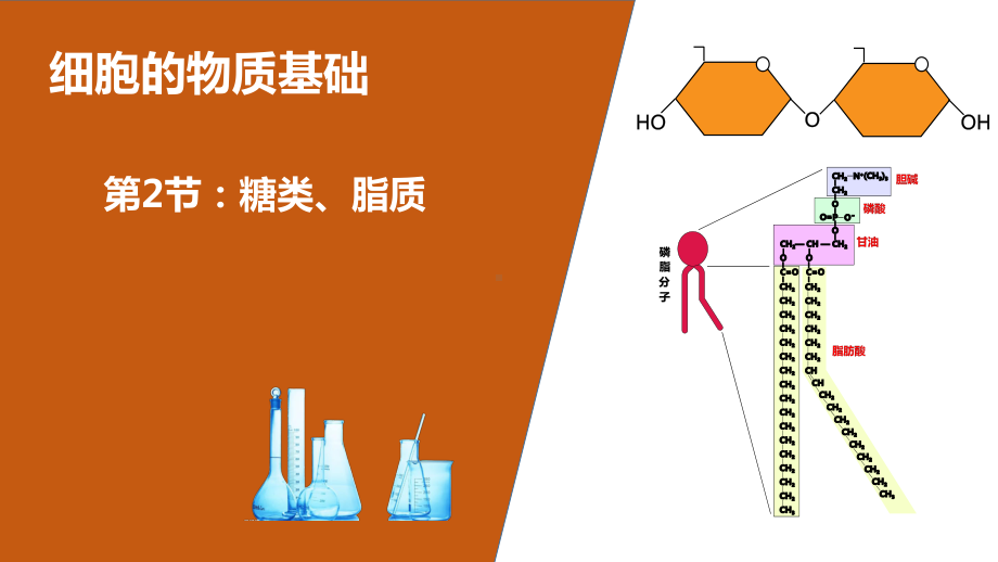 专题02-糖类、脂质-2021年高考生物一轮复习知识精讲课件.pptx_第1页