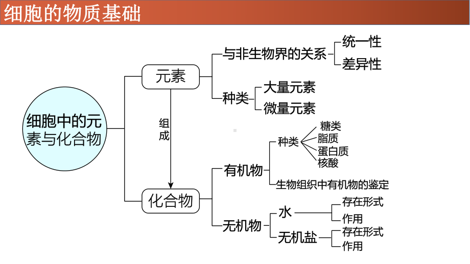 专题02-糖类、脂质-2021年高考生物一轮复习知识精讲课件.pptx_第2页