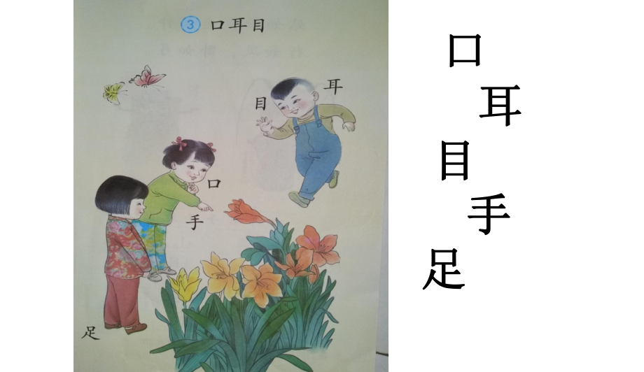 人教版部编版本小学一年级语文上册3《口耳目》课件.ppt_第1页