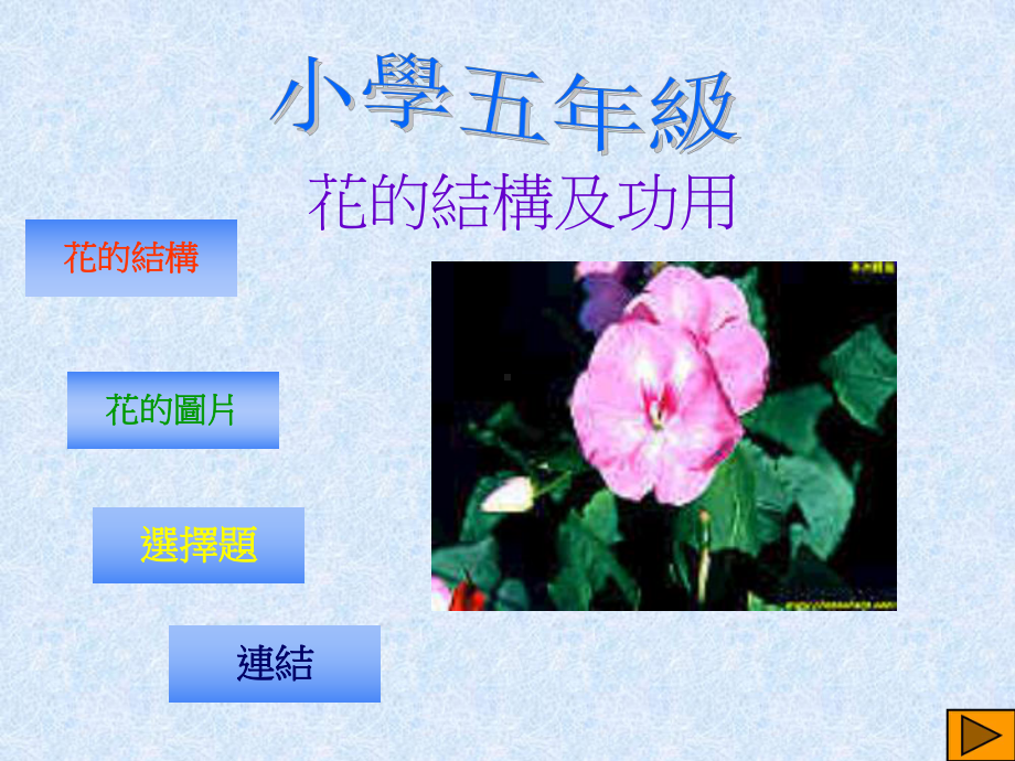 花的结构及功用课件.ppt_第1页