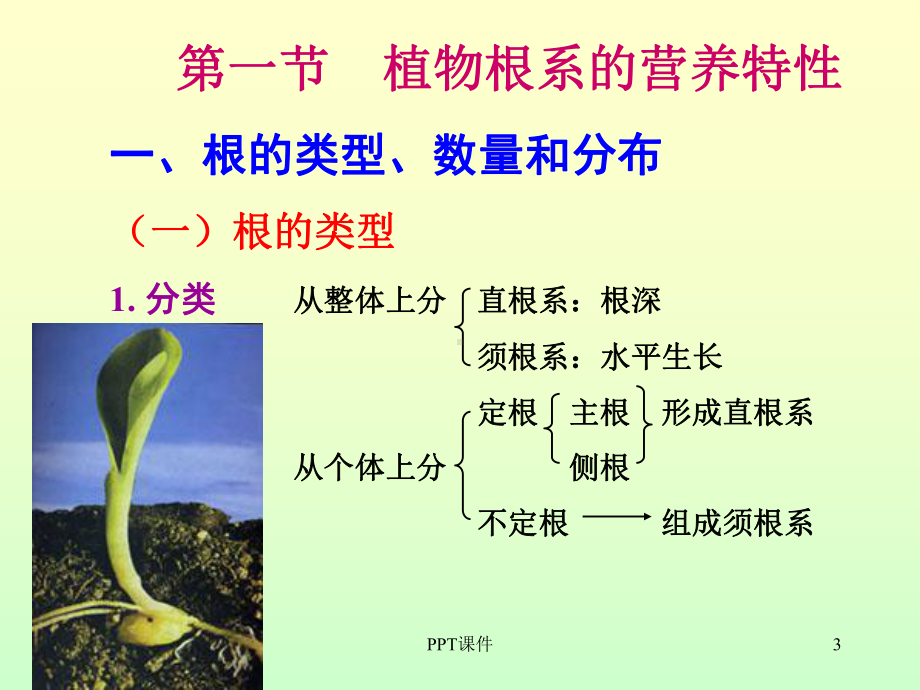 植物对养分的吸收课件.ppt_第3页