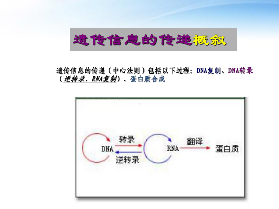 高中生物《遗传信息的传递》课件5-浙科版必修2.ppt_第3页