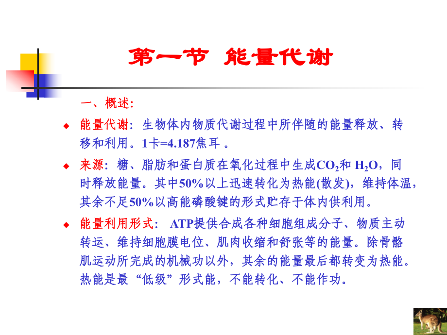 动物生理学8能量代谢与体温调节课件.ppt_第2页