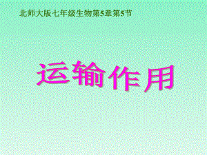 水分和无机盐的运输探究试验课件.ppt