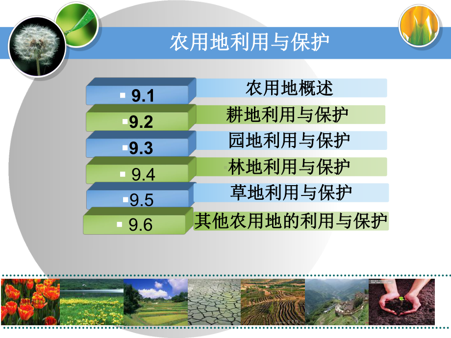 第九章农用地利用与保护课件.ppt_第2页