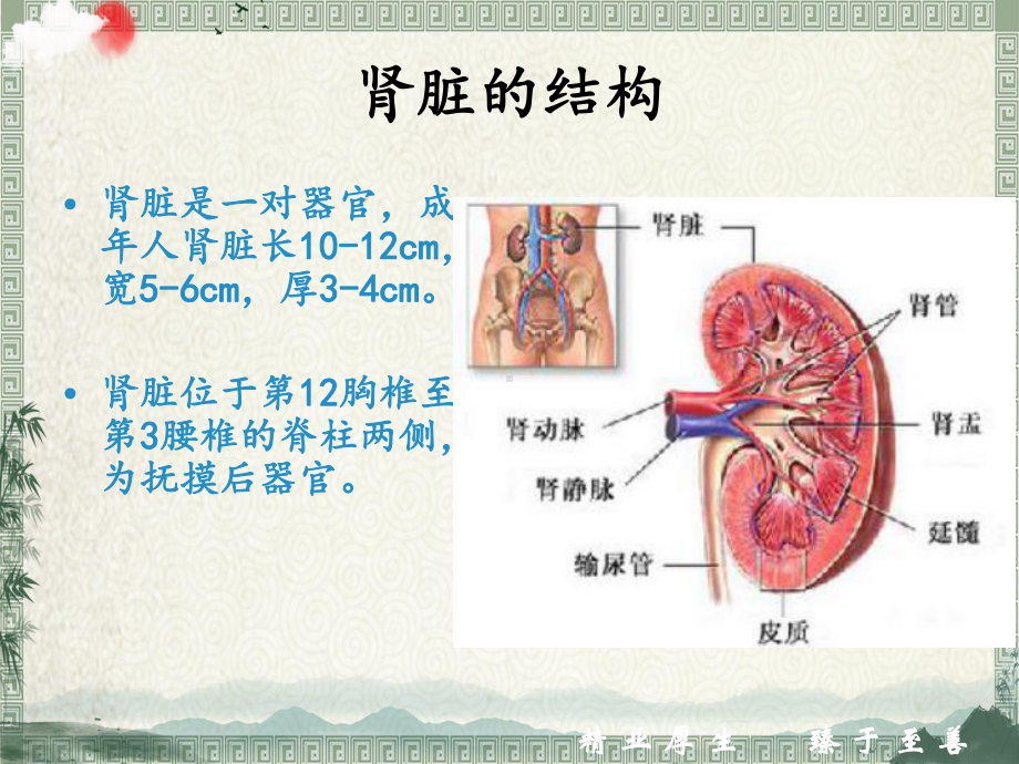 肾内科护理相关知识课件.pptx_第3页