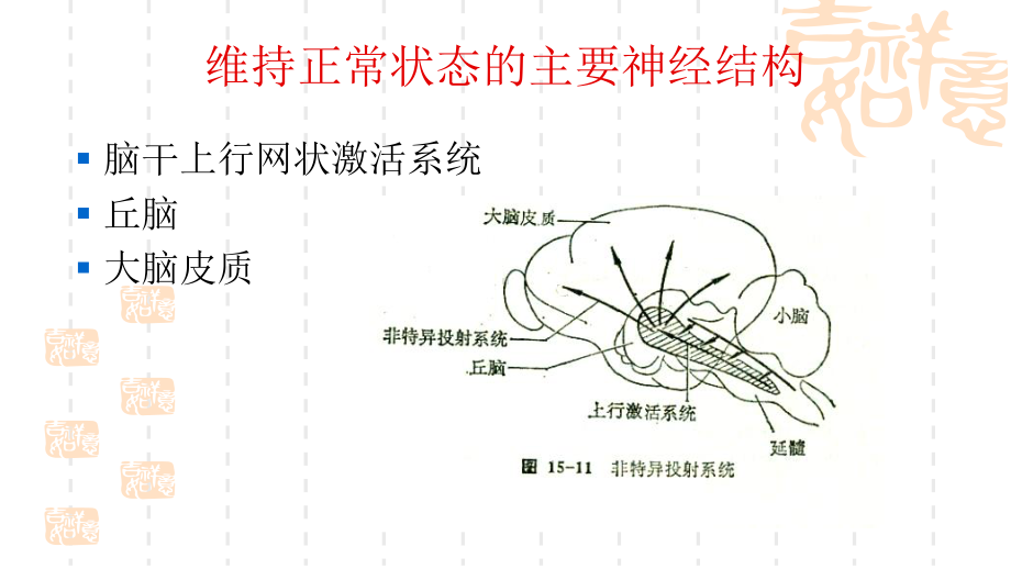 昏迷的诊断及救治课件.pptx_第3页