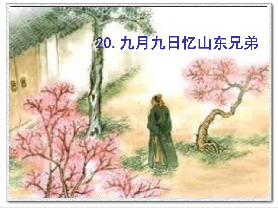 西南师大版三年级语文上册《四单元-20-九月九日忆山东兄弟》公开课课件-3.pptx_第2页