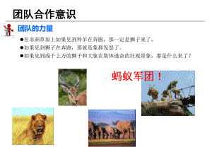 团队协作意识培训企业版课件.ppt