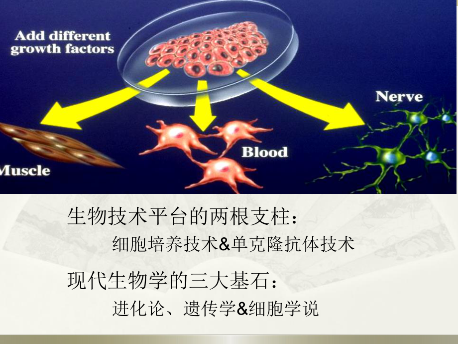 细胞培养&1-基础知识课件.ppt_第1页