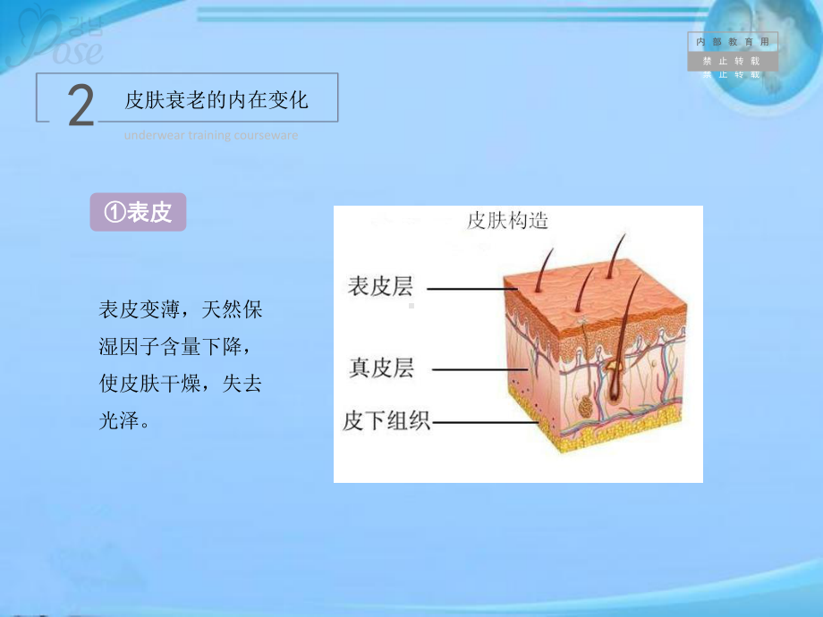 皮肤管理培训资料课件.pptx_第3页