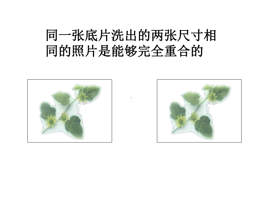 新人教版八年级数学上册全等三角形课件.pptx_第3页