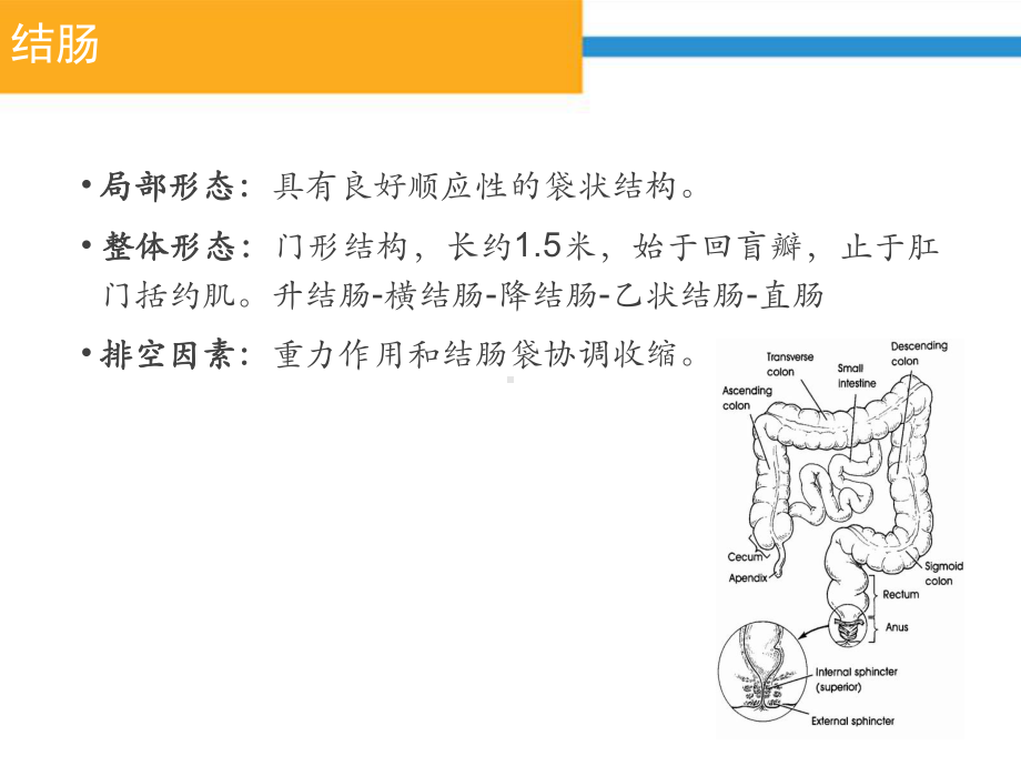 完整版神经源性肠的护理课件.pptx_第3页