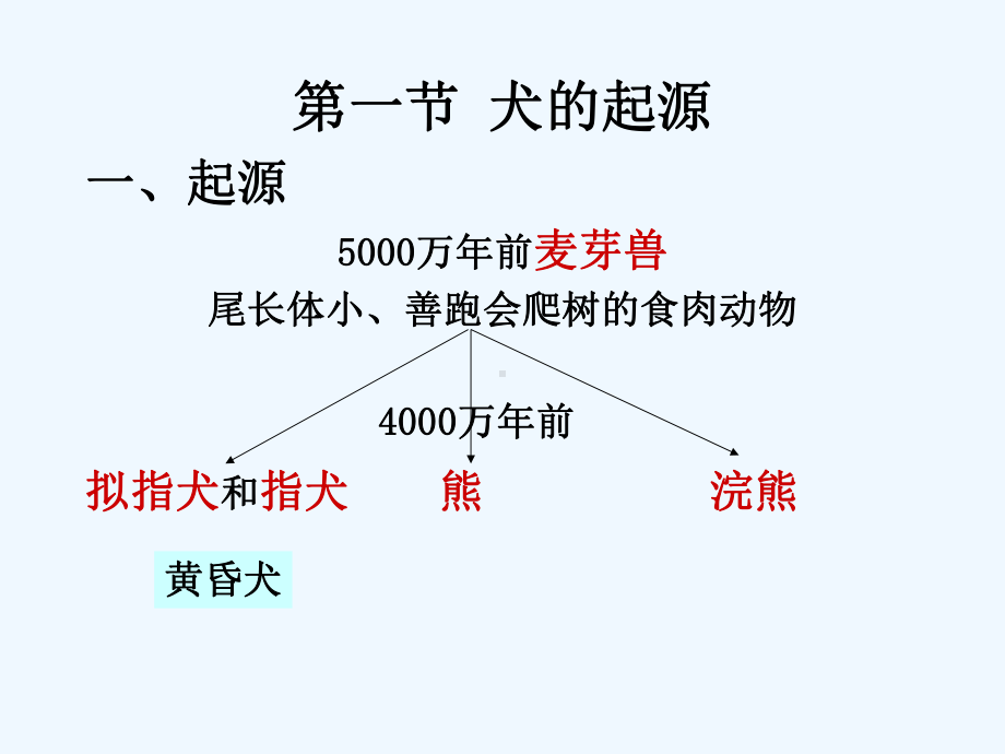 第二章-犬的起源和分类课件.ppt_第2页