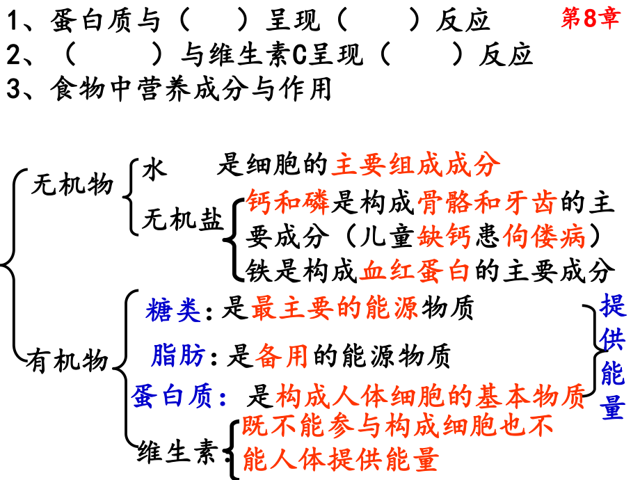 苏教版七年级下册生物复习课件.ppt_第2页