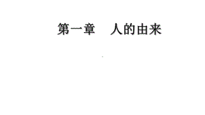 人的由来复习课课件.ppt