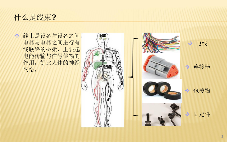 线束基础知识培训课件.pptx_第3页