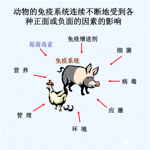 霉菌毒素吸附剂课件.ppt