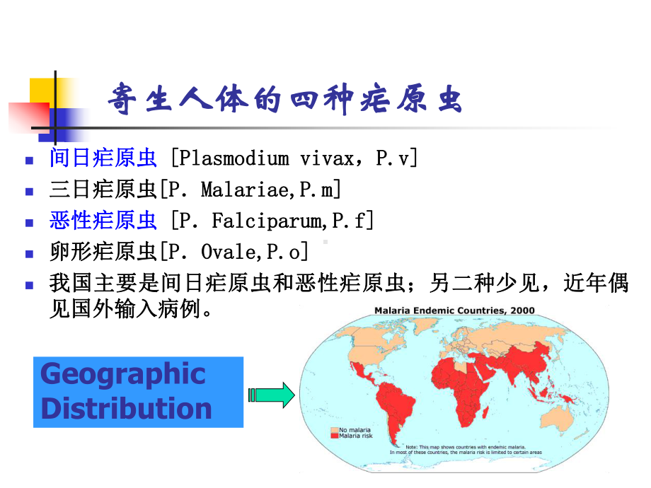 疟原虫教学课件.ppt_第3页