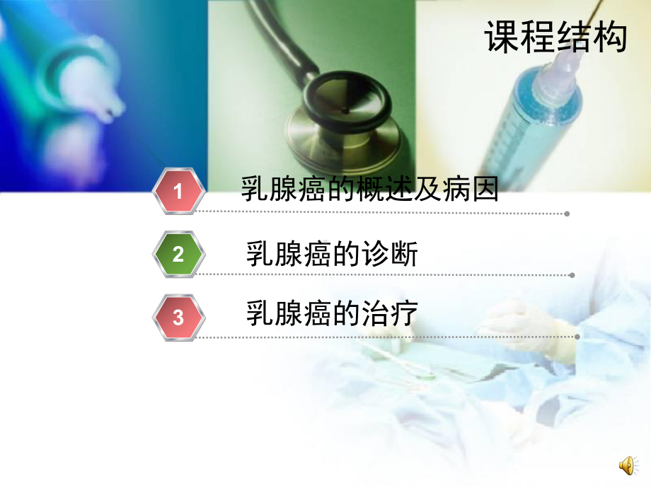 乳腺癌中西医结合诊疗-北京中医院课件.ppt_第3页