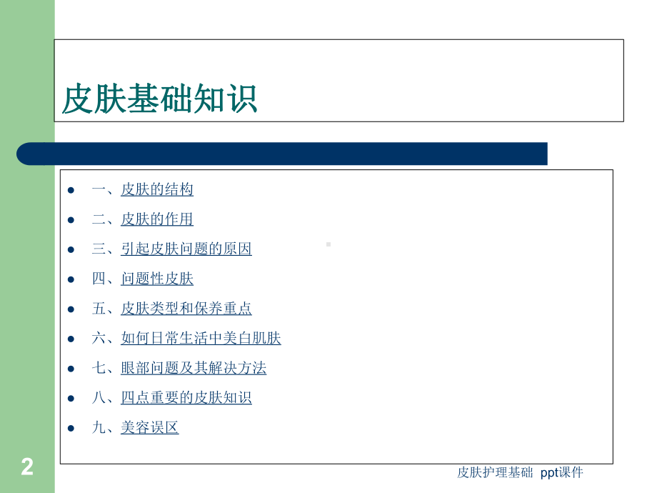 皮肤护理基础课件.ppt_第2页