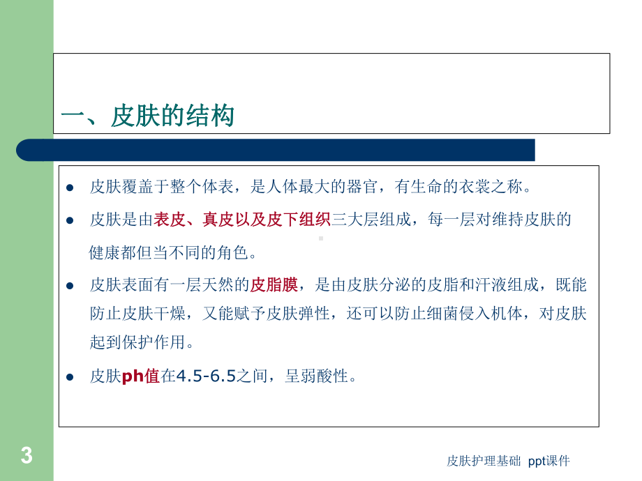 皮肤护理基础课件.ppt_第3页