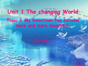 九年级上册Unit1-The-Changing-World-Topic1-Section-C课件.ppt（纯ppt,不包含音视频素材）