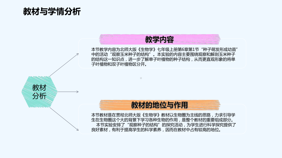 说课稿课件(观察玉米种子的结构)-.ppt_第3页