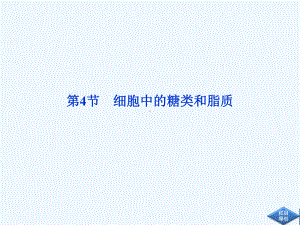 人民教育版高中生物必修1同步教学课件第二章第4节细胞中的糖类和脂质(阅读).ppt