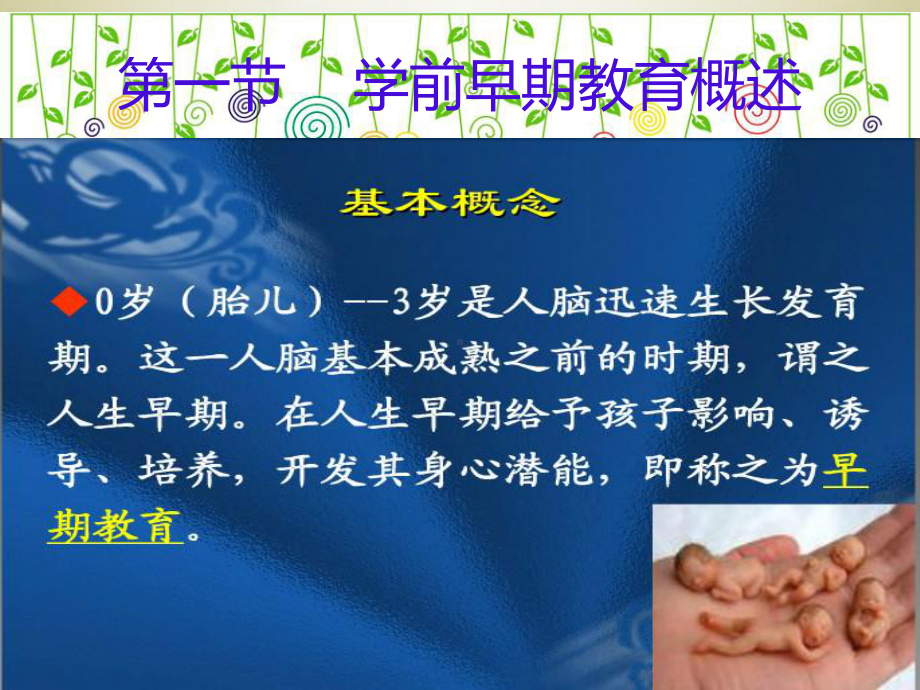 学前早期教育课件.ppt_第2页