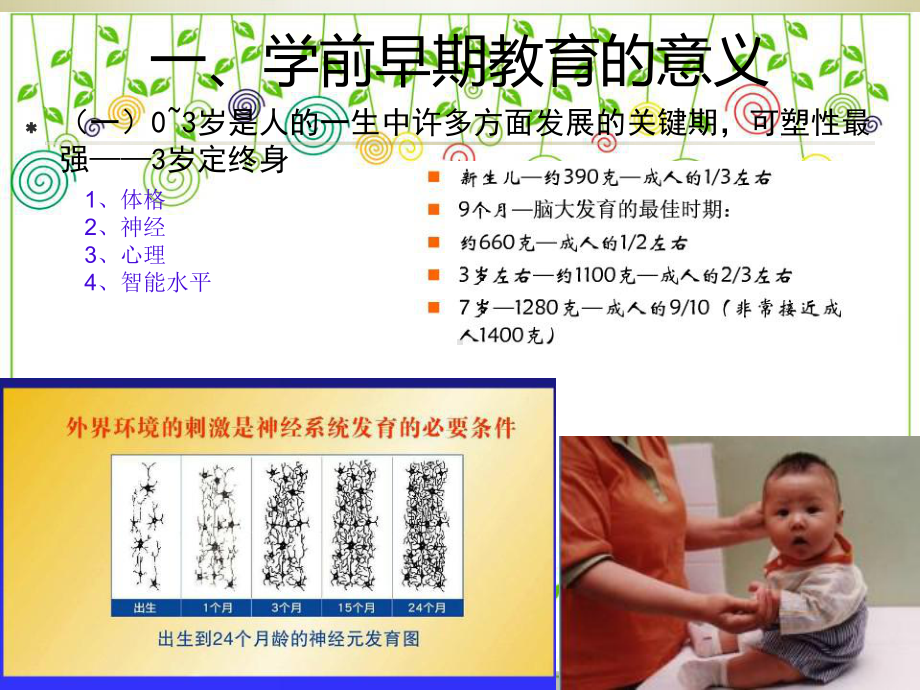 学前早期教育课件.ppt_第3页