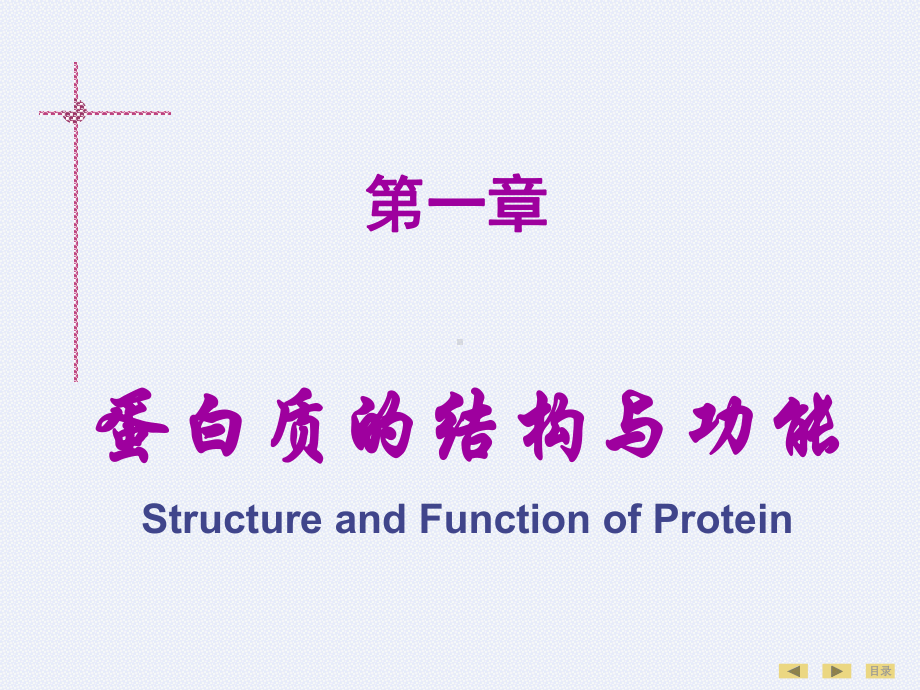 临床医学生物化学高起本专升本教案01第01章-蛋白质的结构与功能-5课件.ppt_第1页