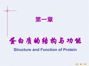 临床医学生物化学高起本专升本教案01第01章-蛋白质的结构与功能-5课件.ppt