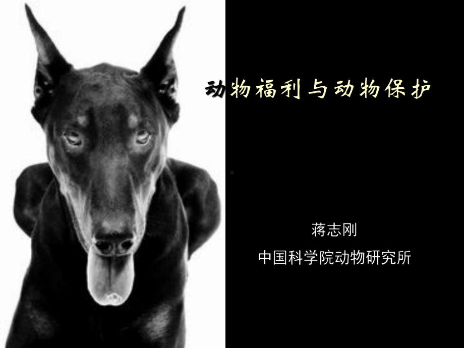 动物福利与动物保护课件.ppt_第1页