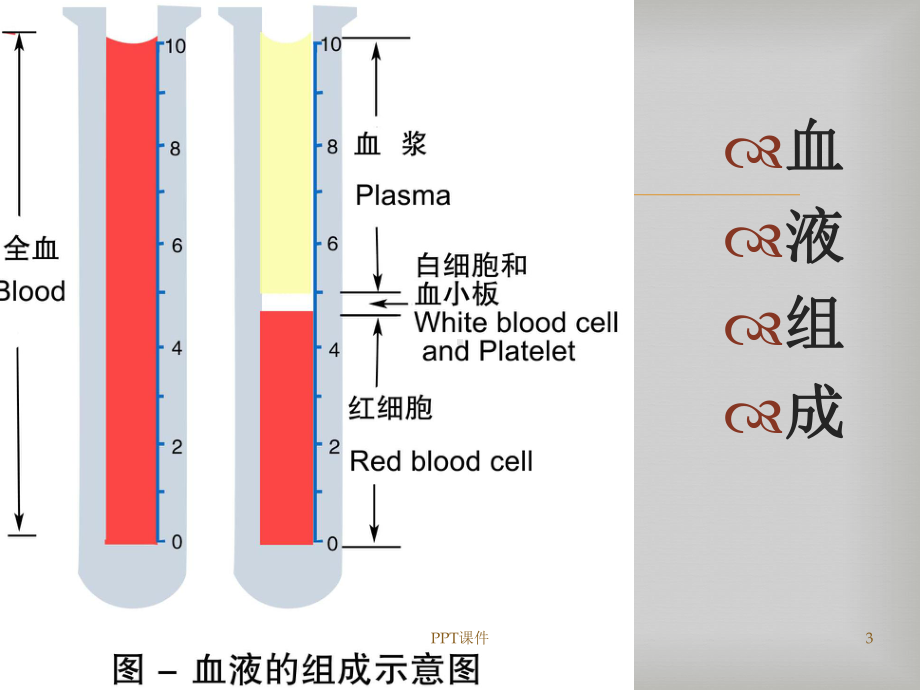 妊娠合并贫血诊断与治疗课件.ppt_第3页