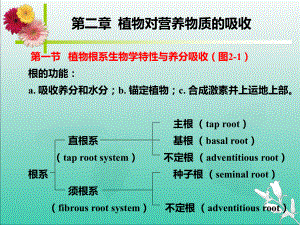 高级植物营养学20711课件.ppt