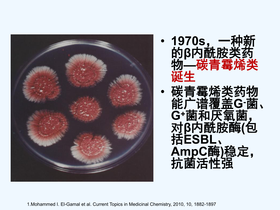 宋金春碳青霉烯类抗生素的临床应用课件.ppt_第3页