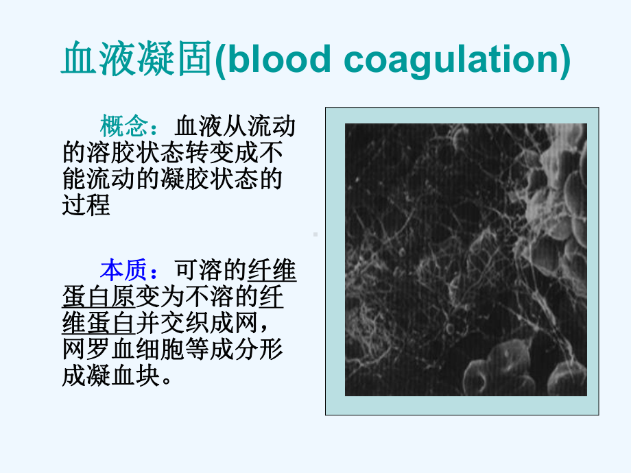 影响血液凝固的因课件.ppt_第3页