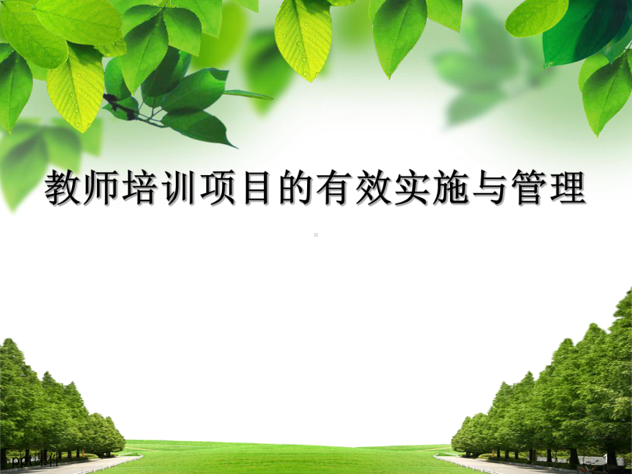 教师培训项目的有效实施与管理课件.ppt_第1页