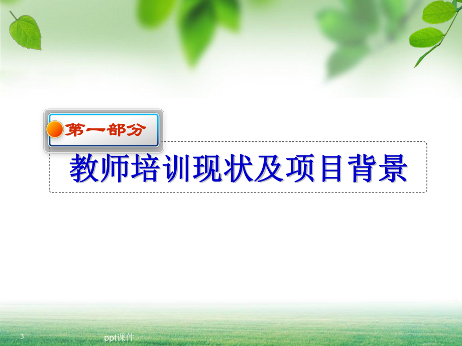 教师培训项目的有效实施与管理课件.ppt_第3页