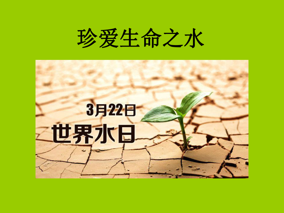 珍爱生命之水-主题班会课件.ppt_第1页