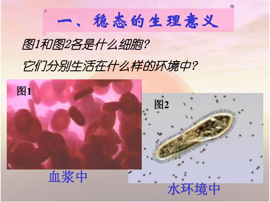 苏教版高中生物必修3第2章第1节人体内环境的稳态课件-最新.ppt_第2页