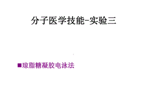 分子医学技能实验课件：分子医学技能-实验三.ppt